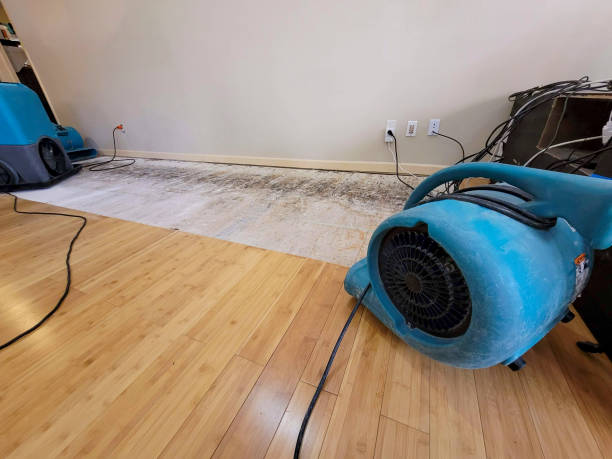 Professional Water Removal technician working in Cygnet, OH